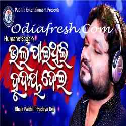 Bhala Paithili Hrudaya Dei